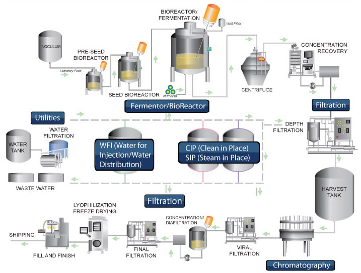 Biotech Process Map