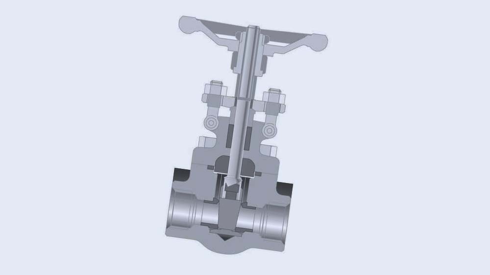 Product picture for CRANE® Ventile aus Schmiedestahl